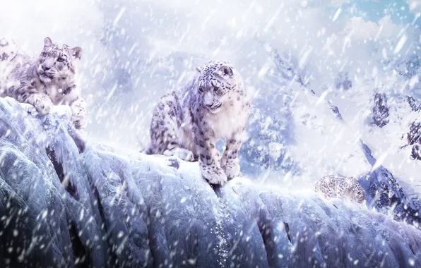 Ice, animals, snow, cats, mountains, leopard, IRBIS, bars