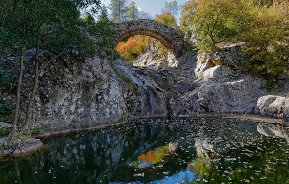 Autumn, landscape, bridge, nature, lake, arch