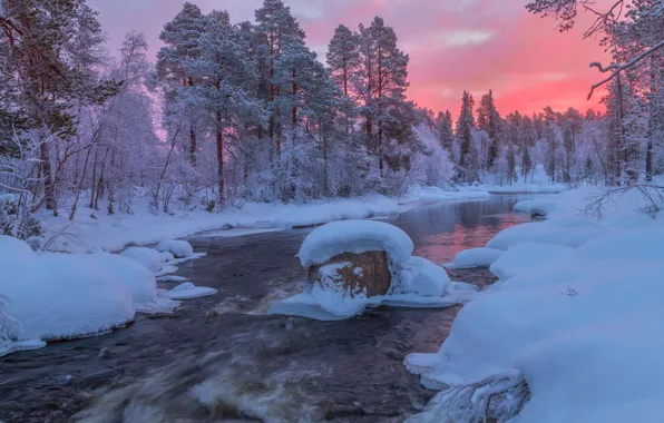 Winter, forest, snow, river, dawn, morning, the snow, Russia