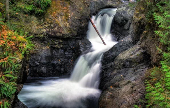 Picture Waterfall, Rocks, Waterfall