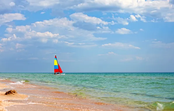 Picture sea, beach, shore, sailboat, summer, beach, sea, sail boat