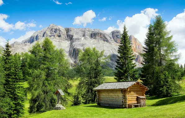 Picture field, the sky, grass, the sun, clouds, trees, mountains, house