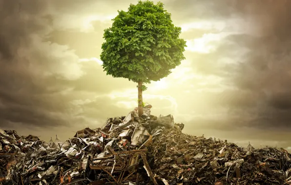 The wreckage, metal, creative, garbage, tree