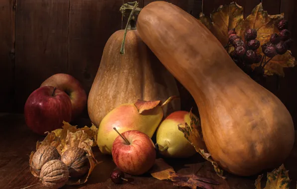 Apples, pumpkin, still life, pear