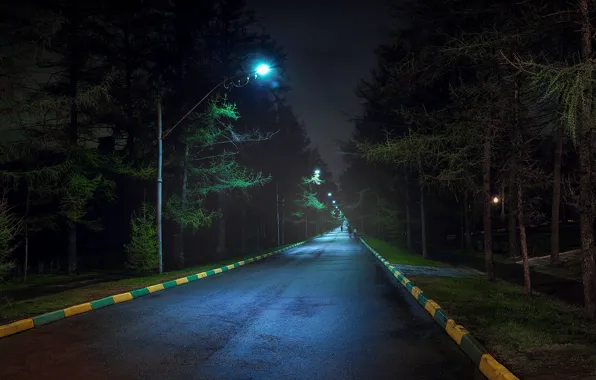 Nature, Road, Night, Trees, Moscow, Russia, Koptevo, Street Lights