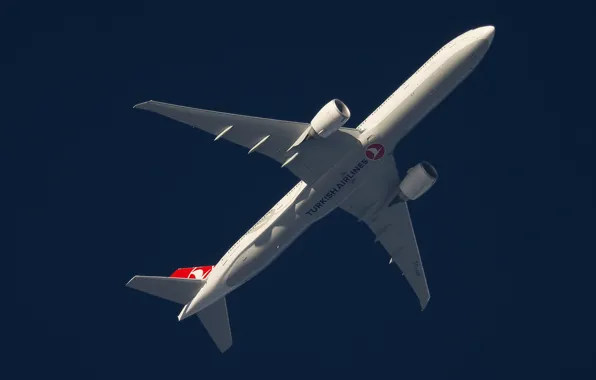 The plane, Boeing 777, In flight, Turkish airlines