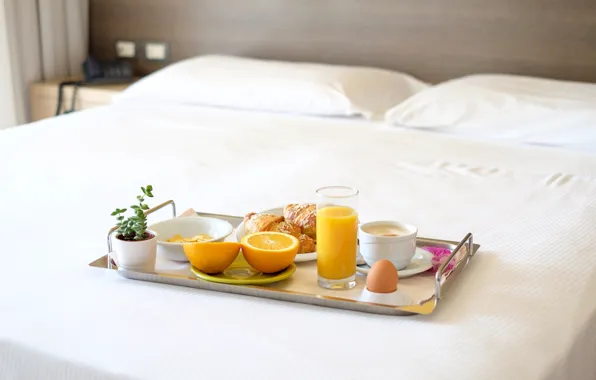 Glass, egg, bed, coffee, orange, Breakfast, juice, Cup