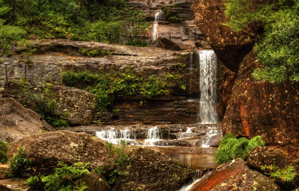 Picture stones, waterfall, Australia, the bushes, Wentworth Falls