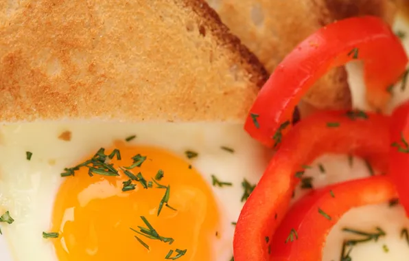 Greens, Breakfast, bread, pepper, scrambled eggs, toast