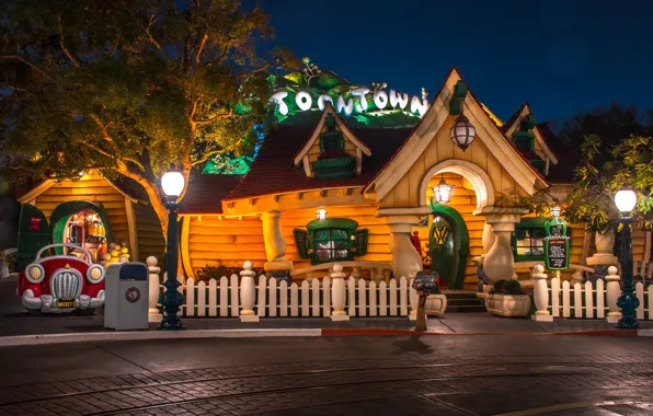 Lights, Night, Trees, Building, Park, Disneyland, Night landscape