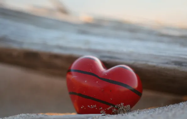 Macro, holiday, heart
