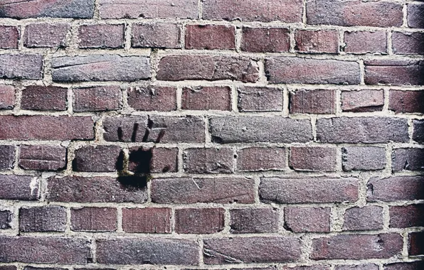 Background, wall, texture