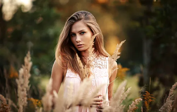 The beauty, Vika, Dmitrij Butvilovskij