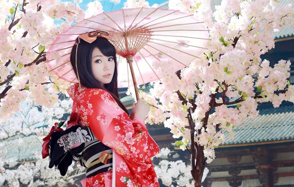 Picture umbrella, Sakura, geisha, kimono, Asian