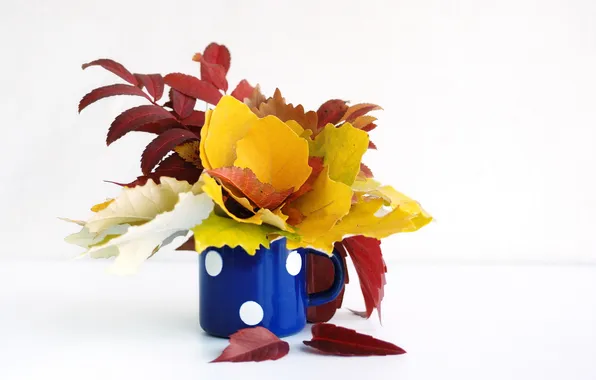 Autumn, leaves, cup, bouquet