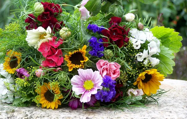 Flowers, spring, Bouquet, color