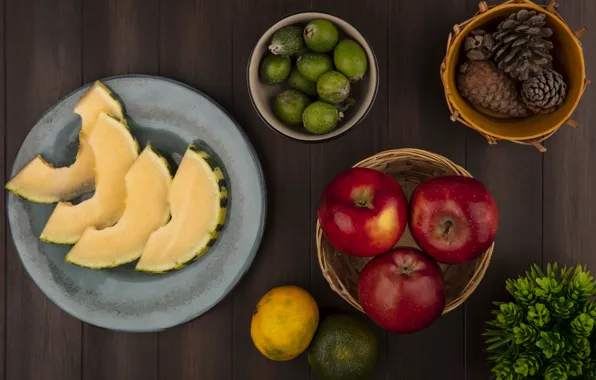 The dark background, apples, melon