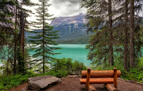Picture forest, trees, mountains, lake, rocks, shore, shop, Emerald Lake