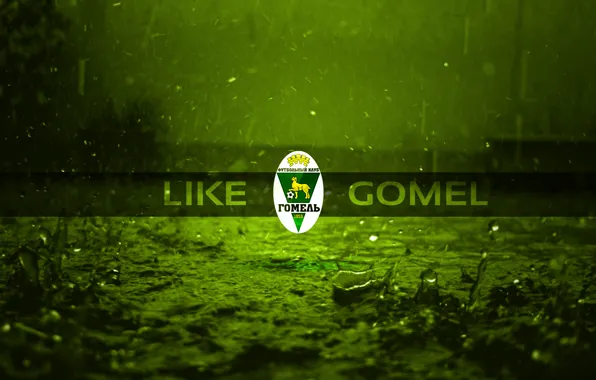 Picture football, Belarus, Football club, Gomel, Gomel