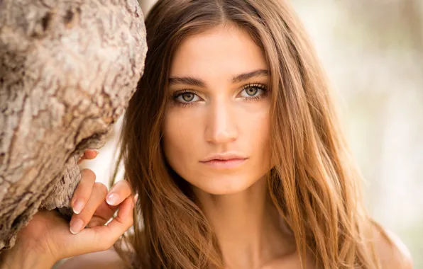 Picture look, close-up, model, portrait, makeup, hairstyle, brown hair, beauty