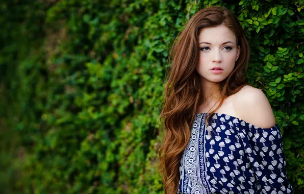 Picture face, background, model, hair, brown hair