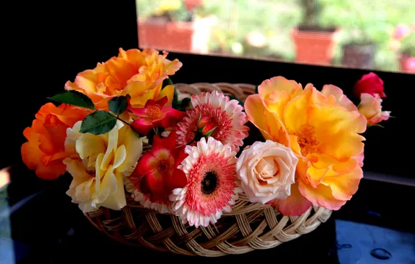 Picture roses, basket, gerbera
