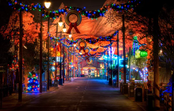 Road, night, Christmas, CA, Park, USA, USA, Disneyland