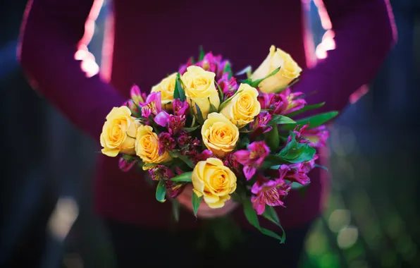 Flowers, yellow, roses, bouquet