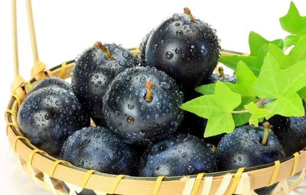 Ripe, collected, blue pictures, photo black, Plum Wallpaper