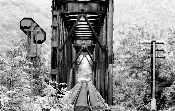 Road, forest, bridge, photo, iron, black and white, black and white