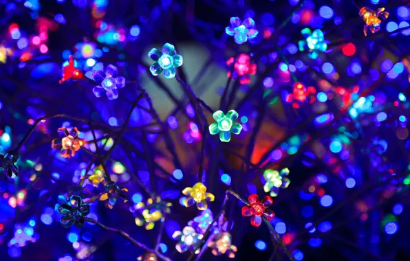 Flowers, neon, garland, light bulb