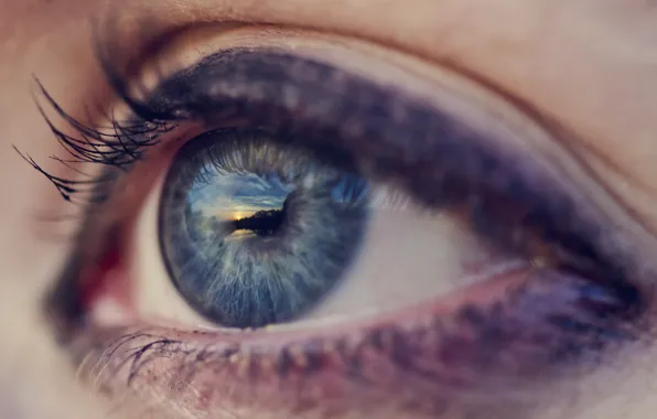 Picture blue, eyes, eyelashes, blue, makeup, the pupil