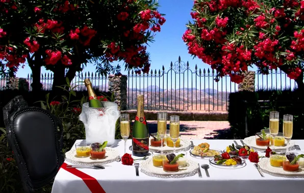 Holiday, food, glasses, champagne, dessert, serving