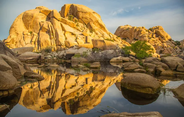 The sun, lake, stones, CA, USA, the bushes, Joshua Tree National Park, Barker Dam