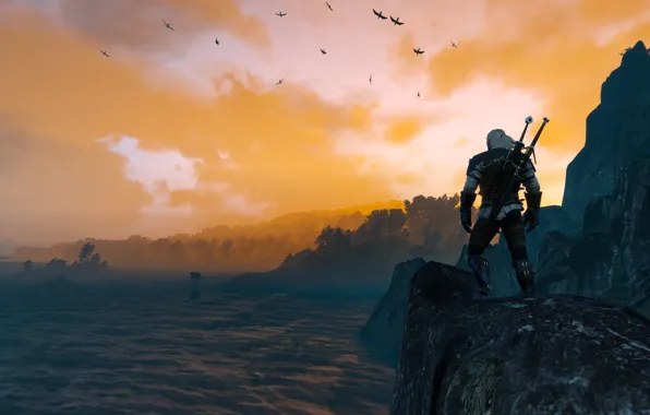 The witcher, The Witcher, Herald, The Witcher 3: Wild Hunt, The Witcher 3: Wild Hunt, …