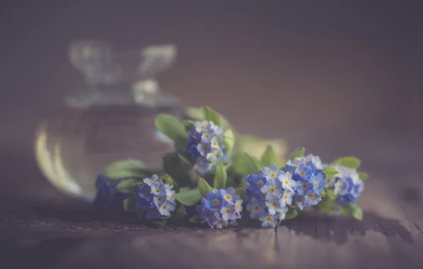 Glass, flowers, Board, spring, blue, bottle, still life, blur