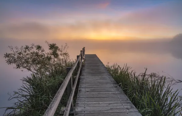 Morning, pierce, the bridge, bridges, pond