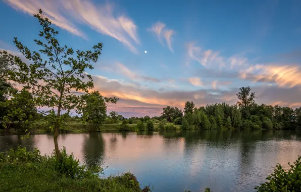 Greens, the sky, grass, clouds, trees, sunset, river, shore