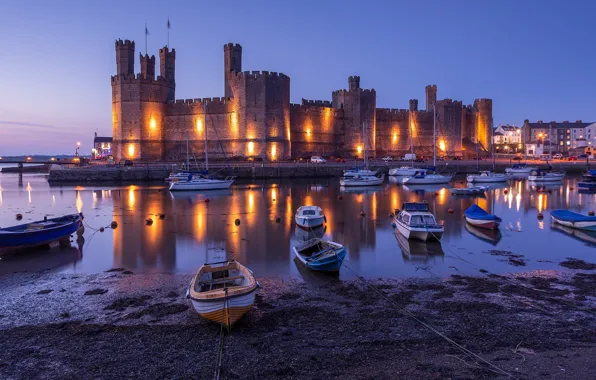 Sand, the sky, light, lights, reflection, castle, shore, England