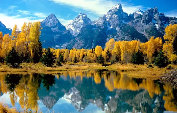 Picture autumn, forest, mountains, lake