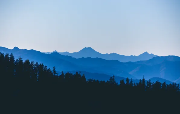 Picture forest, the sky, trees, mountains, nature, morning, Alps