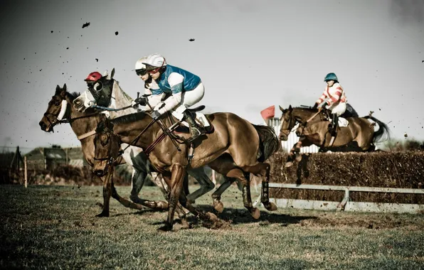 Horses, mud, jockey, obstacle, horse race