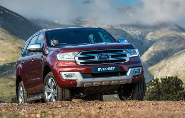 Picture Ford, Everest, Limited, 4WD, 2015, mountains in the background