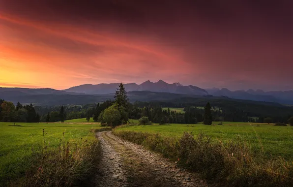 Picture road, landscape, sunset, mountains, nature, hills, forest, meadows