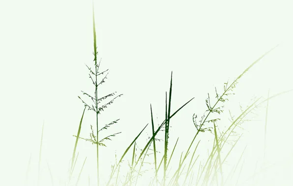 Nature, color, minimalism