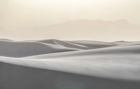 Nature, desert, dunes