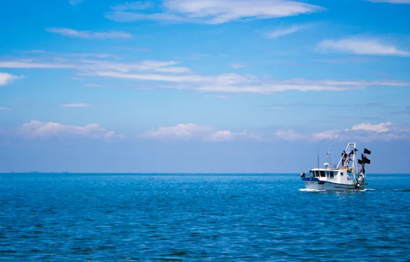 Picture sea, boat, ship, Piran, Slovenia, Adriatic