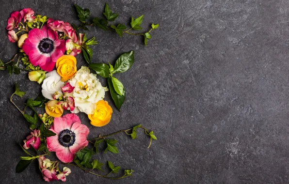 Flowers, background, flowers, twigs, Ranunculus