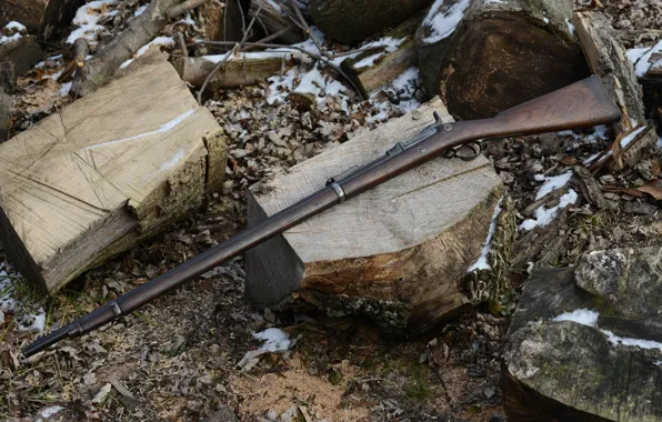 Rifle, Springfield, 1884