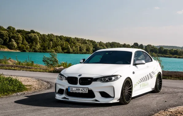 BMW, Hamann